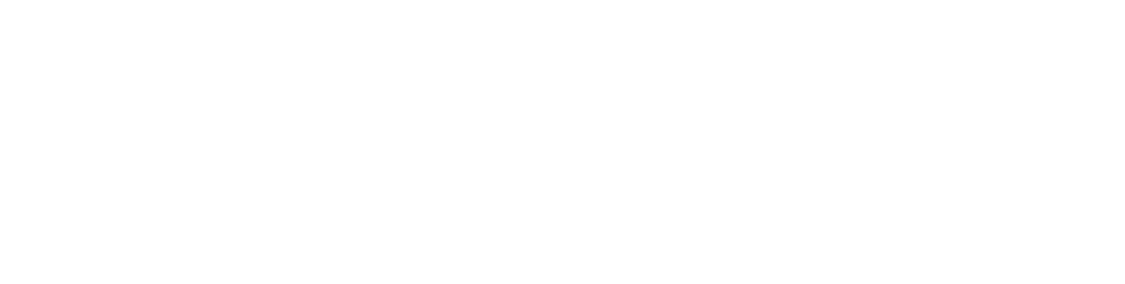 Irisolaris Store Logo